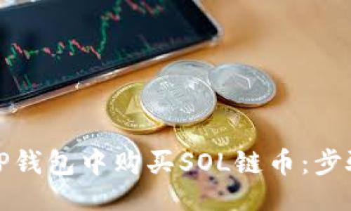 示例
如何在TP钱包中购买SOL链币：步骤与技巧