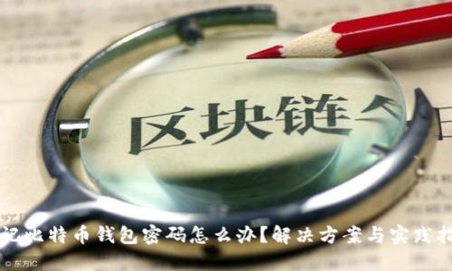 忘记比特币钱包密码怎么办？解决方案与实践指南