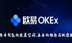 比特币钱包的发展空间：未来的畅想与现实挑战