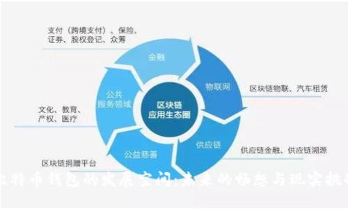 比特币钱包的发展空间：未来的畅想与现实挑战