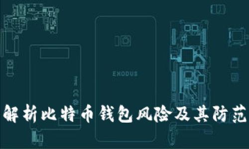深入解析比特币钱包风险及其防范措施