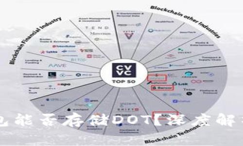 以太坊冷钱包能否存储DOT？深度解析与实践指南