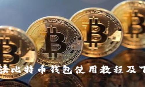 全面解读比特币钱包使用教程及下载指南
