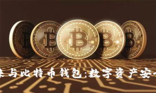 李笑来与比特币钱包：数字资产安全之道
