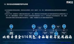 比特币黄金BTG钱包：全面解析与使用指南