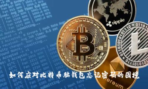 如何应对比特币脑钱包忘记密码的困境