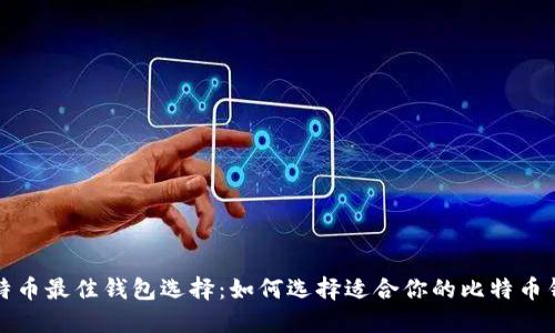 比特币最佳钱包选择：如何选择适合你的比特币钱包