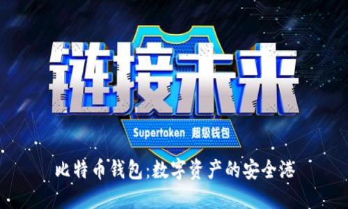 比特币钱包：数字资产的安全港