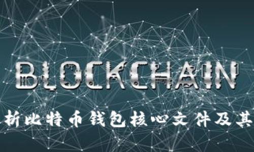 深入解析比特币钱包核心文件及其重要性