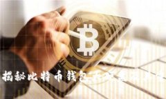 深入揭秘比特币钱包大硬盘及其重要性