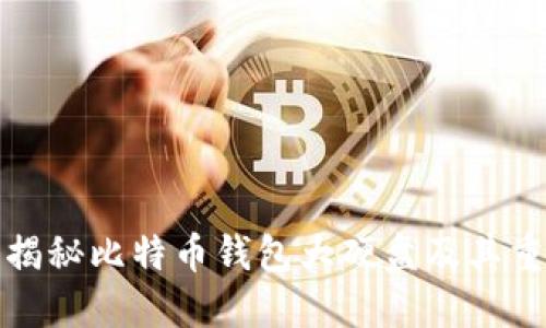 深入揭秘比特币钱包大硬盘及其重要性