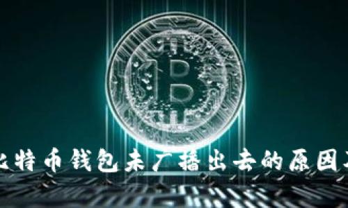 深入分析比特币钱包未广播出去的原因及解决方案