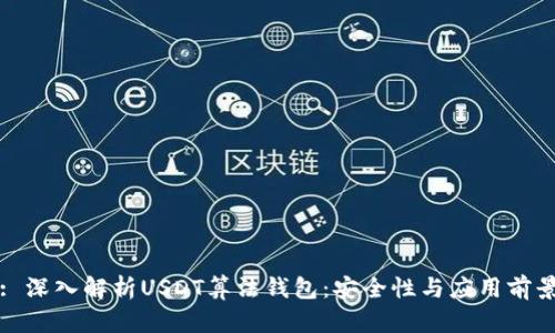 : 深入解析USDT算法钱包：安全性与应用前景