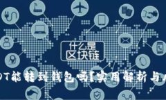 : 假USDT能转到钱包吗？实用解析与风险警示