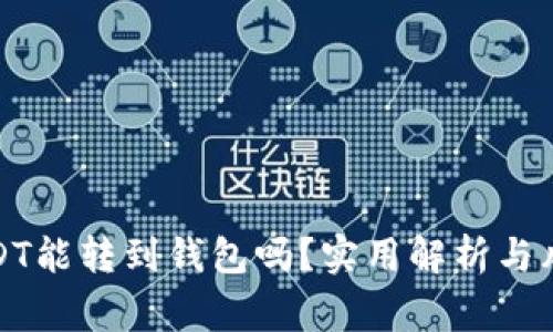: 假USDT能转到钱包吗？实用解析与风险警示