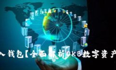 OKB能否放入钱包？全面解析OKB数字资产的存储方