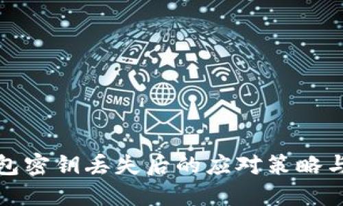 以太坊钱包密钥丢失后的应对策略与安全措施