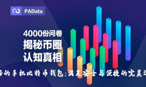 最好的手机比特币钱包：满足安全与便捷的完美选择