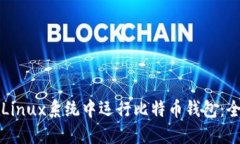 如何在Linux系统中运行比特币钱包：全面指南