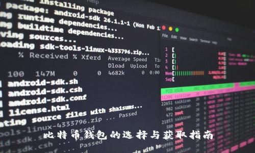 比特币钱包的选择与获取指南