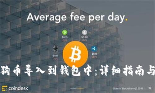 如何将狗狗币导入到钱包中：详细指南与注意事项
