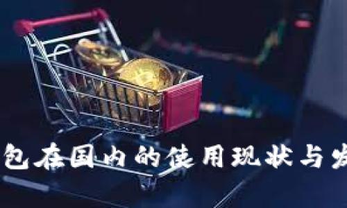 USDT钱包在国内的使用现状与发展前景
