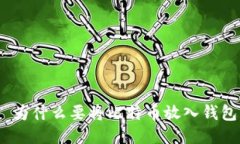 : 为什么要将比特币放入钱包？