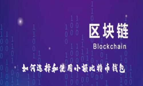  如何选择和使用小额比特币钱包