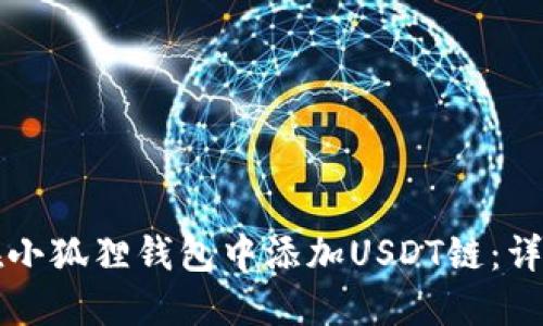 如何在小狐狸钱包中添加USDT链：详细指南