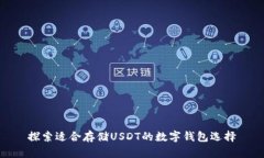 探索适合存储USDT的数字钱包选择