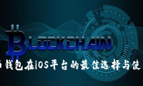 比特币钱包在iOS平台的最佳选择与使用指南