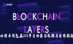 比特币钱包在iOS平台的最佳选择与使用指南