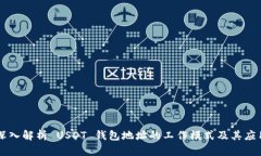 深入解析 USDT 钱包地址的工作模式及其应用