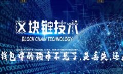 狗狗币钱包中的狗币不见了，是丢失，还是被盗