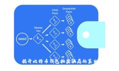 揭开比特币钱包抽奖骗局的真相