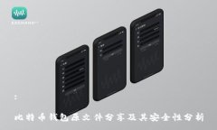 :比特币钱包原文件分享及其安全性分析