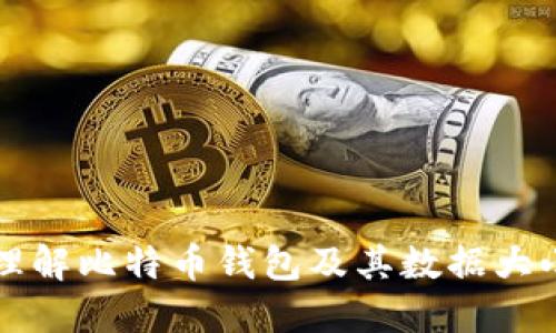 深入理解比特币钱包及其数据大小问题