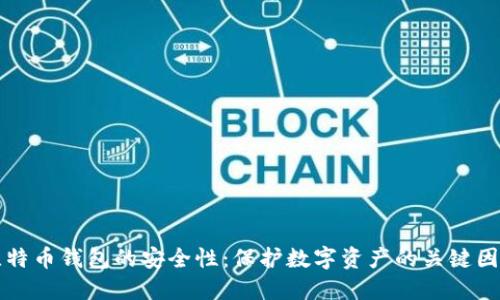 比特币钱包的安全性：保护数字资产的关键因素