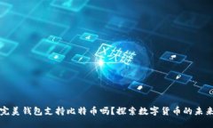 完美钱包支持比特币吗？探索数字货币的未来