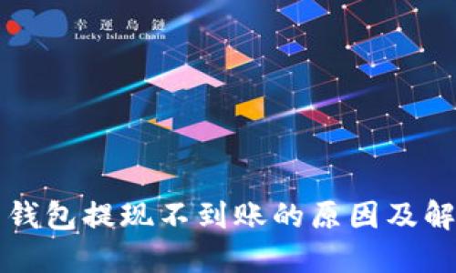 瑞波币钱包提现不到账的原因及解决方案