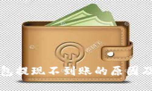 瑞波币钱包提现不到账的原因及解决方案