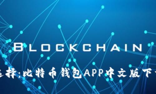 安全选择：比特币钱包APP中文版下载指南