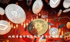 比特币电子钱包的种类与使用指南