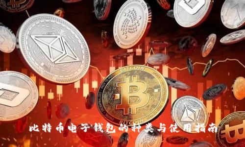 比特币电子钱包的种类与使用指南