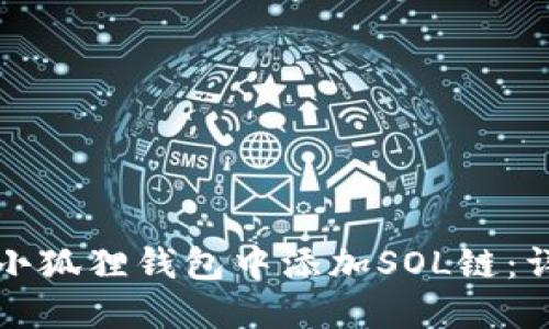 如何在小狐狸钱包中添加SOL链：详细指南