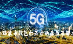 bibiao瑞波币钱包打不开的原因及解决方案