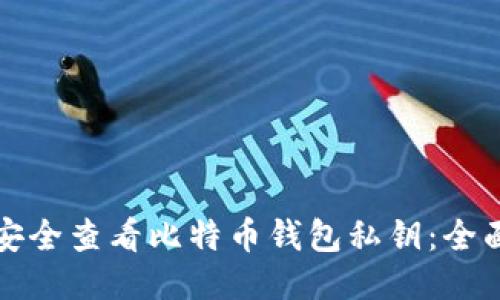 如何安全查看比特币钱包私钥：全面指南