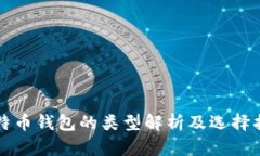 比特币钱包的类型解析及选择指南