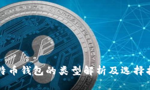比特币钱包的类型解析及选择指南