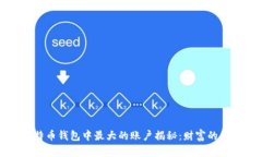 比特币钱包中最大的账户揭秘：财富的背后